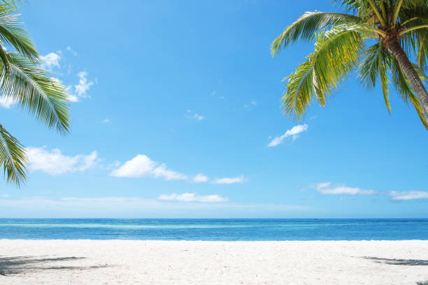 istock Exotic summer beach with tropical sea and clear sky copy space scene 1217282844