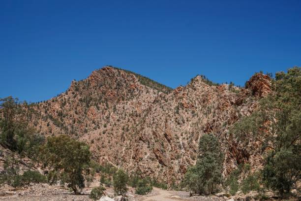 istock Brachina Gorge, Flinders Ranges SA 1217286305
