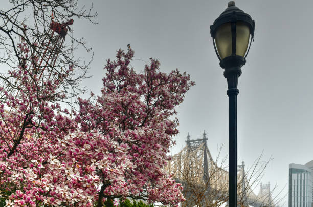 istock Sutton Place Park North - New York City 1217288831