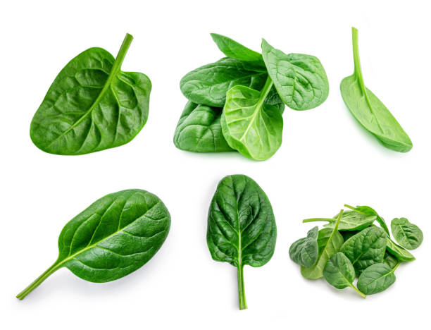 istock Spinach. Creative layout made of  Spinach leaves   isolated on white background.  Top view. Flat lay. 1217291232