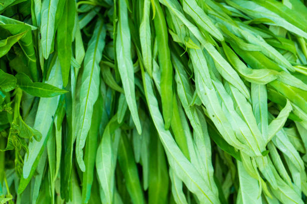 A counter with fresh vegetables and herbs in Asia. Street food.