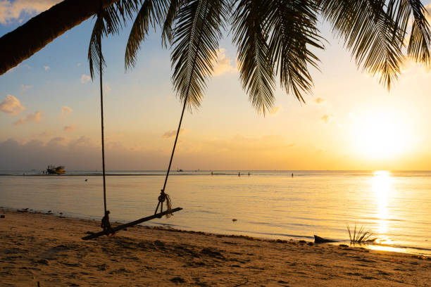 istock A swing hangs on a palm tree on a tropical sandy beach by the ocean. Sunset on the beach 1217294011