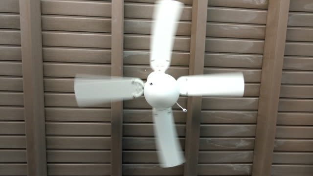 Ceiling fan rotating in an cafe with straw roof.