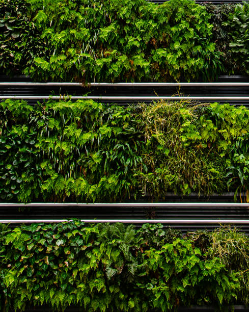 istock Green plants growing in side of silver building 1217297935