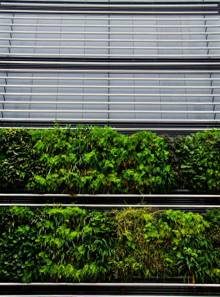 istock Green plants growing in side of silver building 1217298749