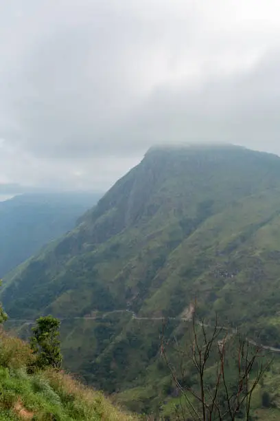 Photo of Mountain landscape, green slopes. Beauty of mountains. Little Adam peak, mountain in the fog view from the jungle.