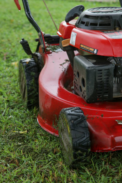 istock Lawn mower in garden. Mowing wet grass. 1217302271