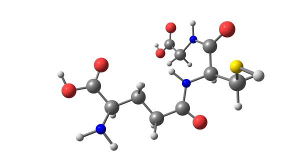 Glutathione molecular structure isolated on white stock photo