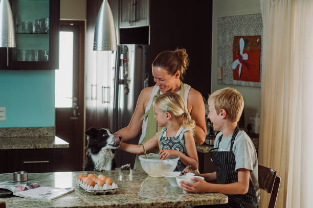 That looks Yummy Siblings with their beautiful mother holding a cup in the kitchen preparing the ingredients as part of a baking session during lockdown at home in the kitchen.  A Border Collie Dog is peeking over the kitchen counter to see what is going on.  The dog is licking its lips.  They look very happy and content.  The woman is observing and helping the children.  There are ingredients like eggs and flour on the marble counter.  They are all wearing aprons. breed eggs stock pictures, royalty-free photos & images