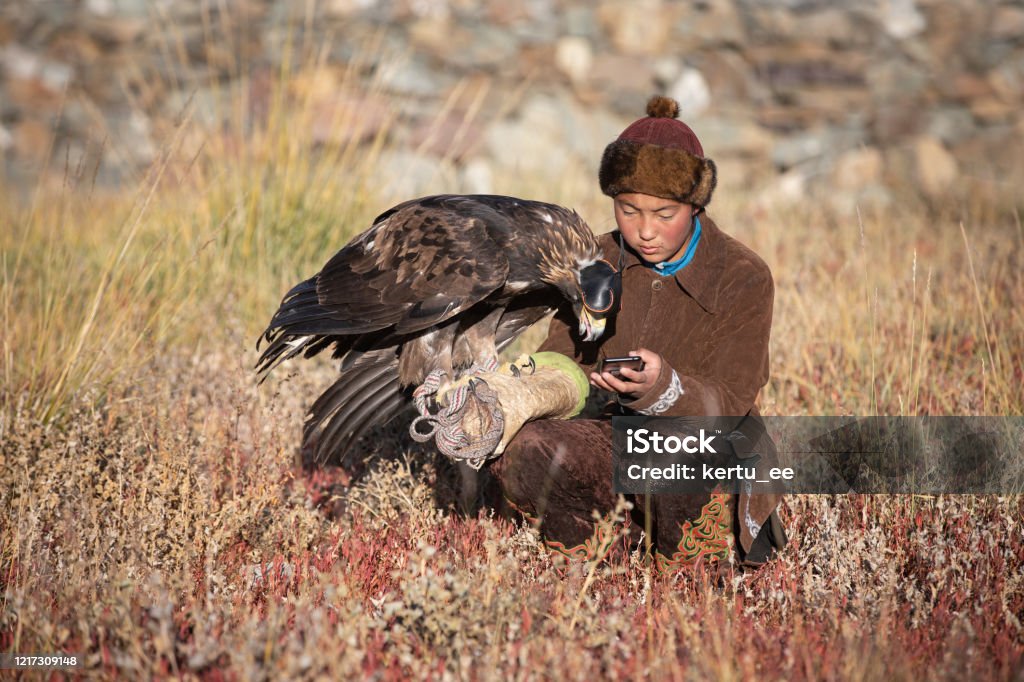Young kazakh eagle hunter with his golden eagle. Traditional kazakh eagle hunter watching her mobile phone with her golden eagle that is used to hunt for fox and rabbit fur. Ulgii, Western Mongolia. Independent Mongolia Stock Photo