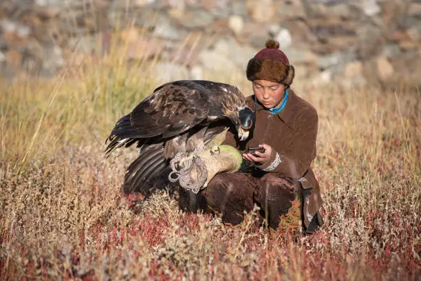 Traditional kazakh eagle hunter watching her mobile phone with her golden eagle that is used to hunt for fox and rabbit fur. Ulgii, Western Mongolia.