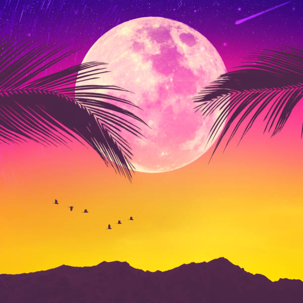 istock Silhouette palm tree with bird flying on sunset sky and full moon star abstract background. 1217309553