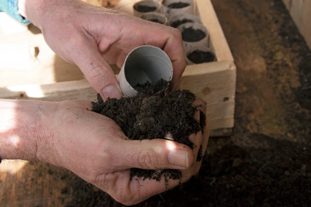 istock Preparing toilet roll holders to plant seeds 1217313737