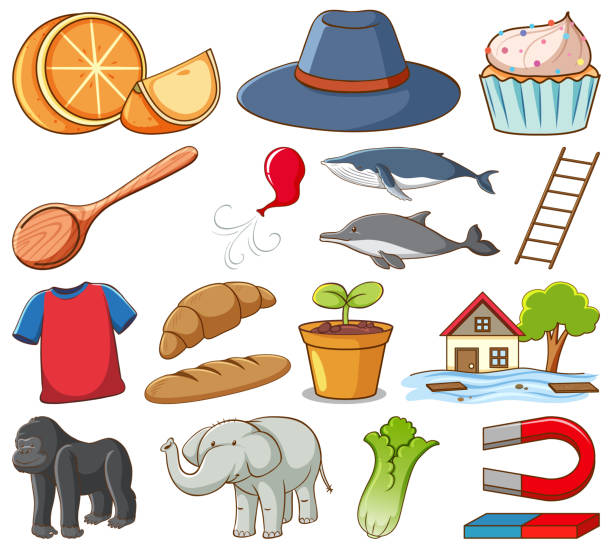 illustrazioni stock, clip art, cartoni animati e icone di tendenza di grande set di cibo diverso e altri oggetti su sfondo bianco - meal whale mammal animal
