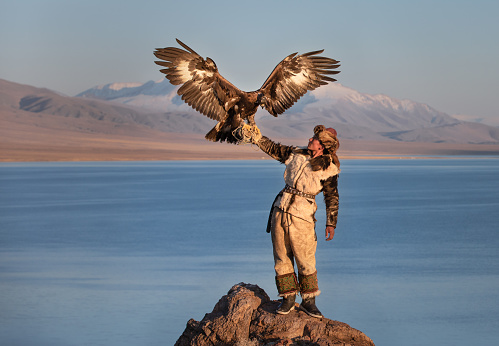 Traditional kazakh eagle hunter with his golden eagle in front of snow capped mountains at a lake shore. Ulgii, Western Mongolia.
