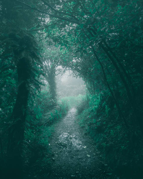istock Nature Photography 1217315256