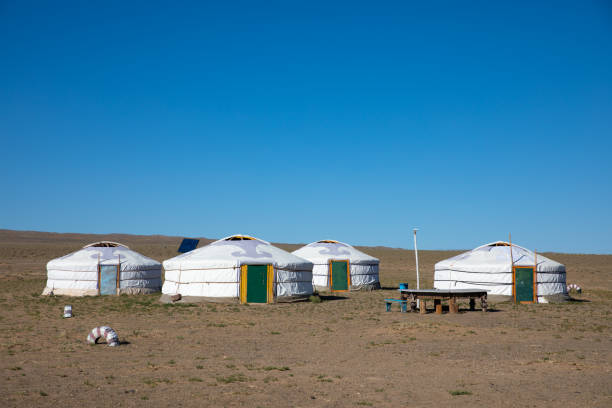 fours gers traditionnel. - goat independent mongolia kazakhstan desert photos et images de collection