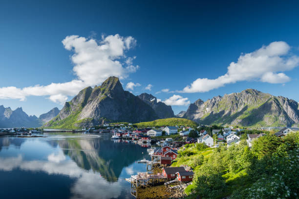 reine dorf im sommer, lofoten, norwegen - inselgruppe lofoten stock-fotos und bilder