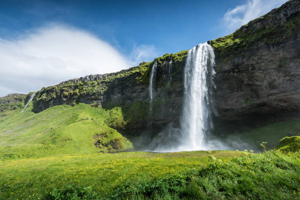 istock Seljalandsfoss waterfall in Iceland in Summer 1217317758