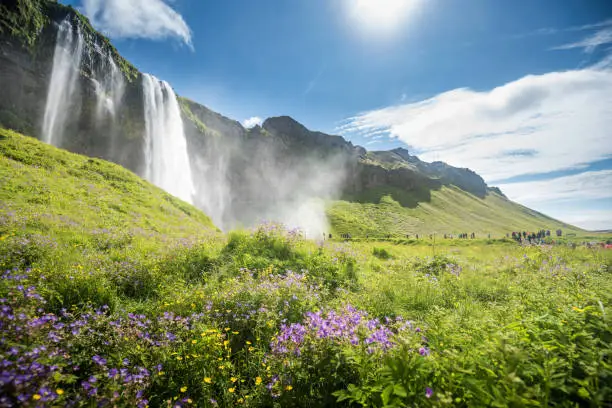 Photo of Seljalandsfoss waterfall in Iceland in Summer