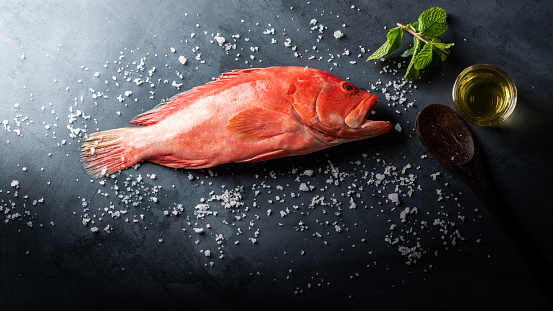 Red Snapper raw fish on table top