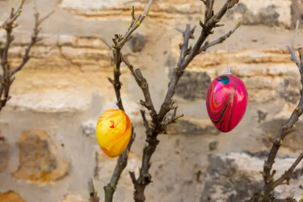 An easter decoration on branches in nature in front of a wall