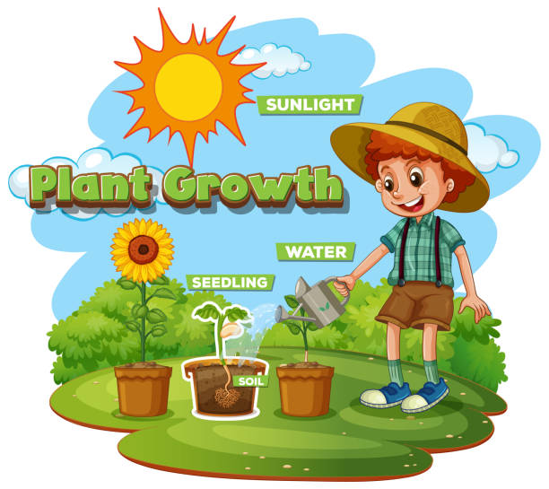 ilustrações de stock, clip art, desenhos animados e ícones de scene with kid planting trees in the garden - boyhood
