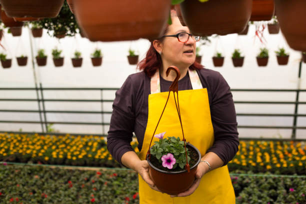 istock Mature florist working in a greenhouse 1217323041