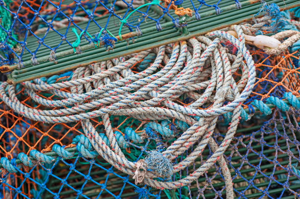 istock Lobster pots and rope on a harbor quayside 1217324639