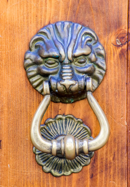 istock ancient knocker of historic building 1217325060