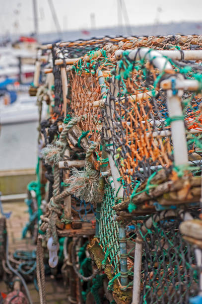 istock Lobster pots on a harbor quayside 1217325413
