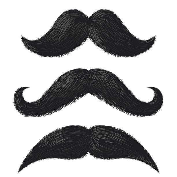Large Black Moustache Large Black Moustache