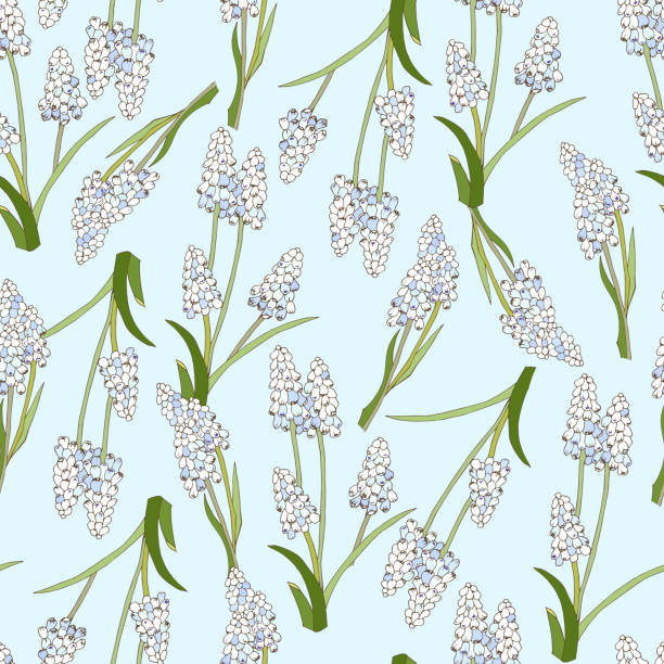 Spring floral seamless pattern. Endless vector texture hand-drawn latifolium muscari flowers on a blue background for fabric, wallpaper on the wall, bedding and kitchen textiles. Spring floral seamless pattern. Endless vector texture hand-drawn latifolium muscari flowers on a blue background for fabric, wallpaper on the wall, bedding and kitchen textiles. muscari latifolium stock illustrations