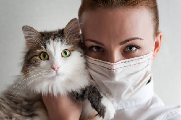 Portrait of a girl in a medical mask. She is holding a pet cat. Close up stock photo