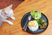 Cat staring to eat breakfast in the black round plate on the wooden floor. Fried egg rice and blend of fried chicken with lettuce.