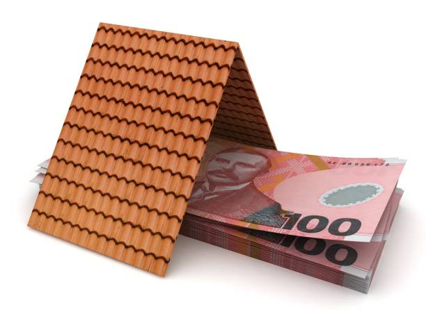 protezione assicurativa monetaria della nuova zelanda - shingle bank foto e immagini stock