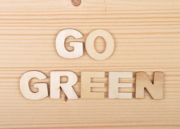 istock Term from wooden letters on pale wood 1217333437