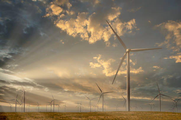 istock Giant Wind Mill Generators in the Morning Light 1217336588