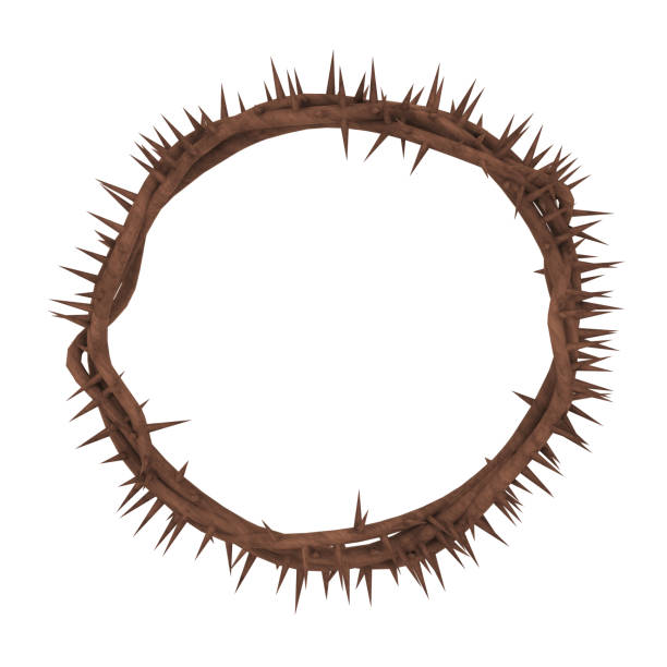 istock Crown of Thorns Isolated 1217336852
