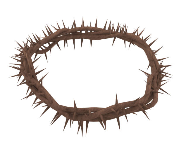 istock Crown of Thorns Isolated 1217336886