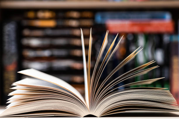 istock open book close up photo, blurred background 1217338476