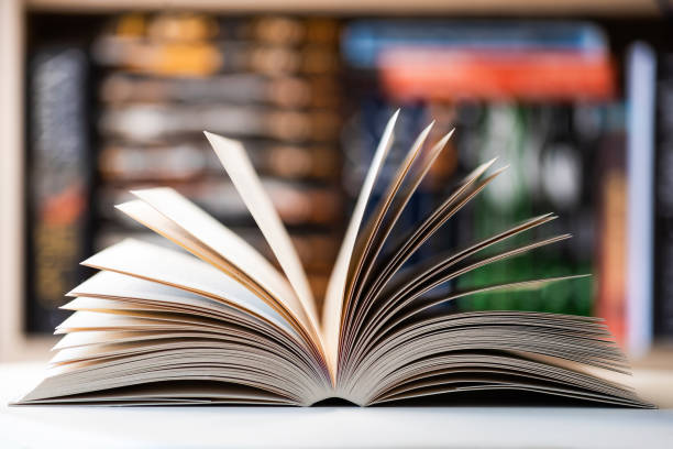 istock open book close up photo, blurred background 1217338502