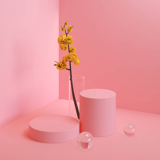 istock Abstract mock up pastel color Scene. 1217340085