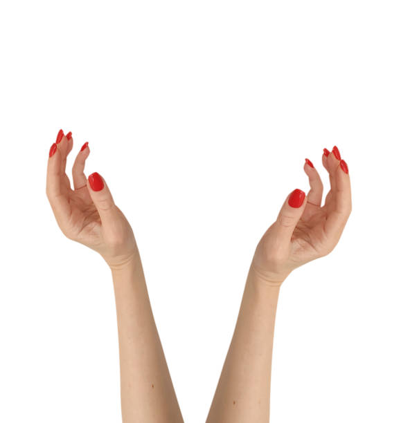 istock female hand manicure isolated on a white background 1217340870
