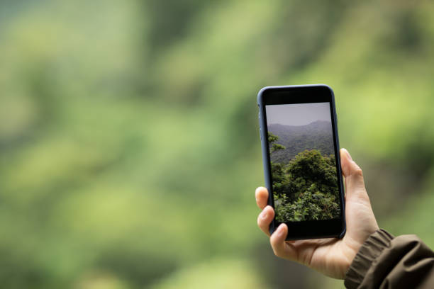 Hand taking picture with mobile phone in spring nature