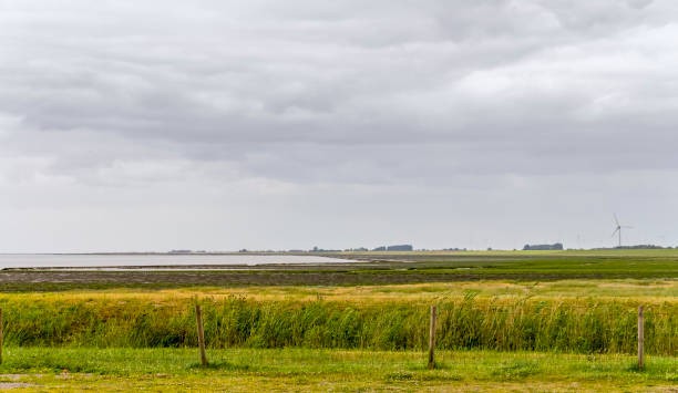 istock coastal scenery in Eastern Frisia 1217342927