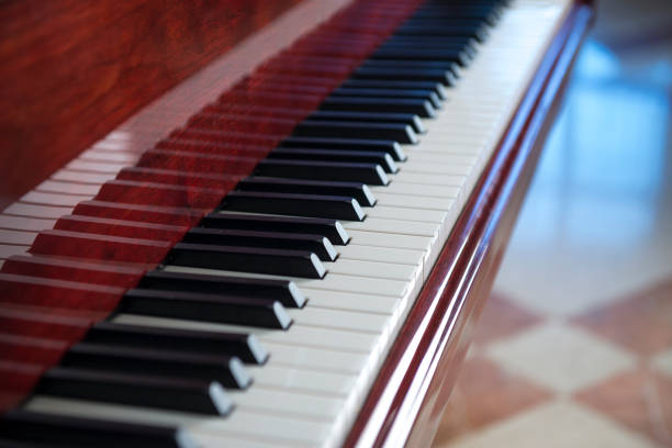 istock White and Black Piano Keys in Row 1217345488