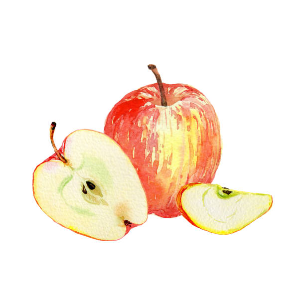 istock Red apples isolated on white background. Watercolor illustration of cut and whole red apples. Harvest collection. Fruit set. 1217346080