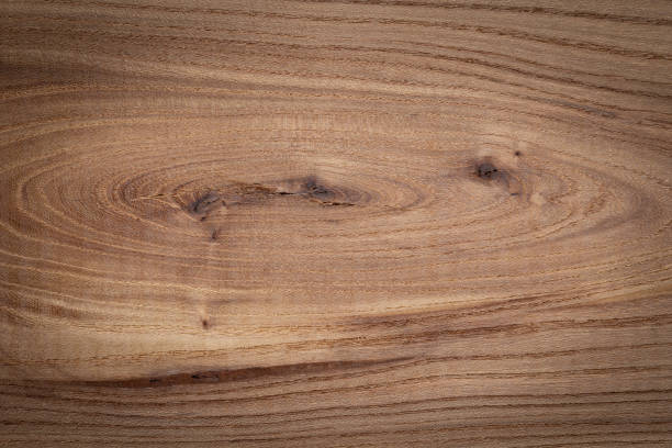 istock Elm texture background. Old elm wooden board texture. 1217348334
