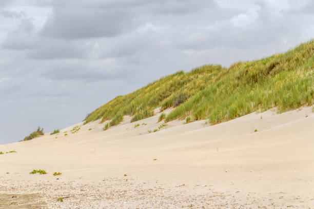 istock beach scenery at Spiekeroog 1217348738